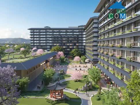 Ảnh Lynn Times Onsen Retreat Nam Hà Nội 3