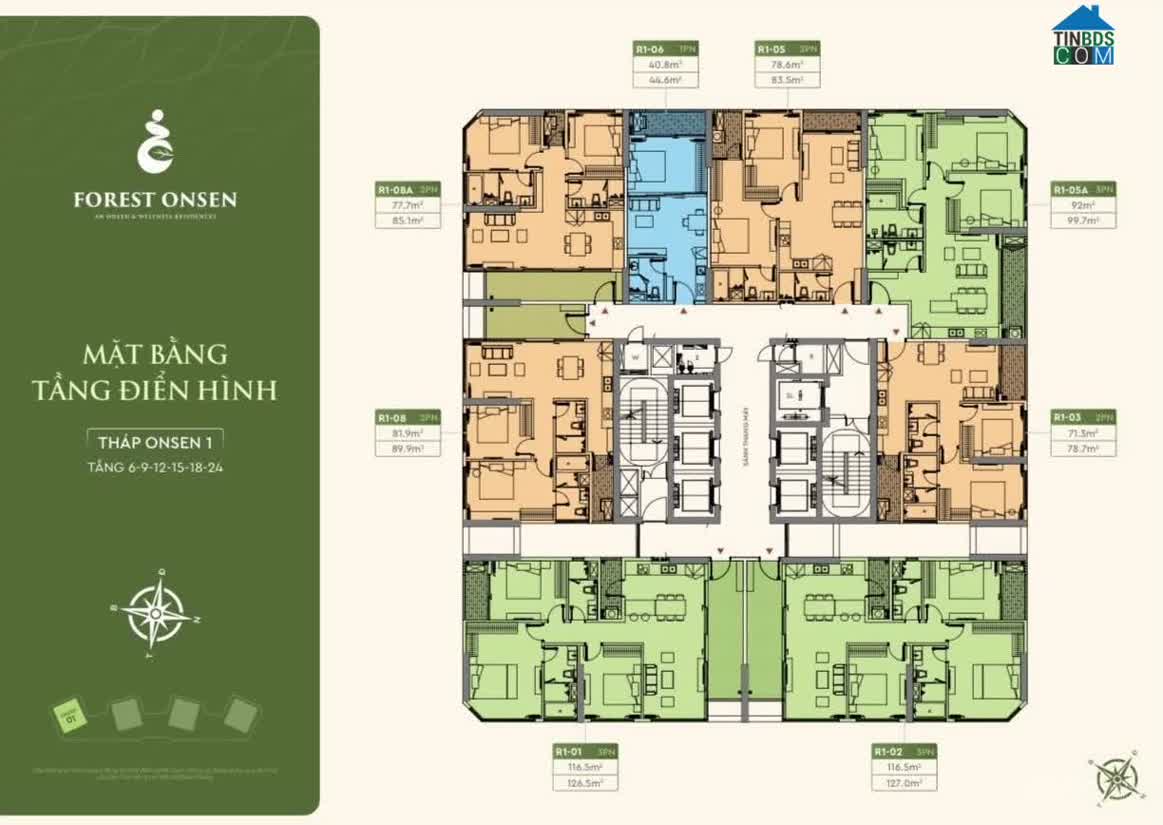 Ảnh Forest Onsen 3