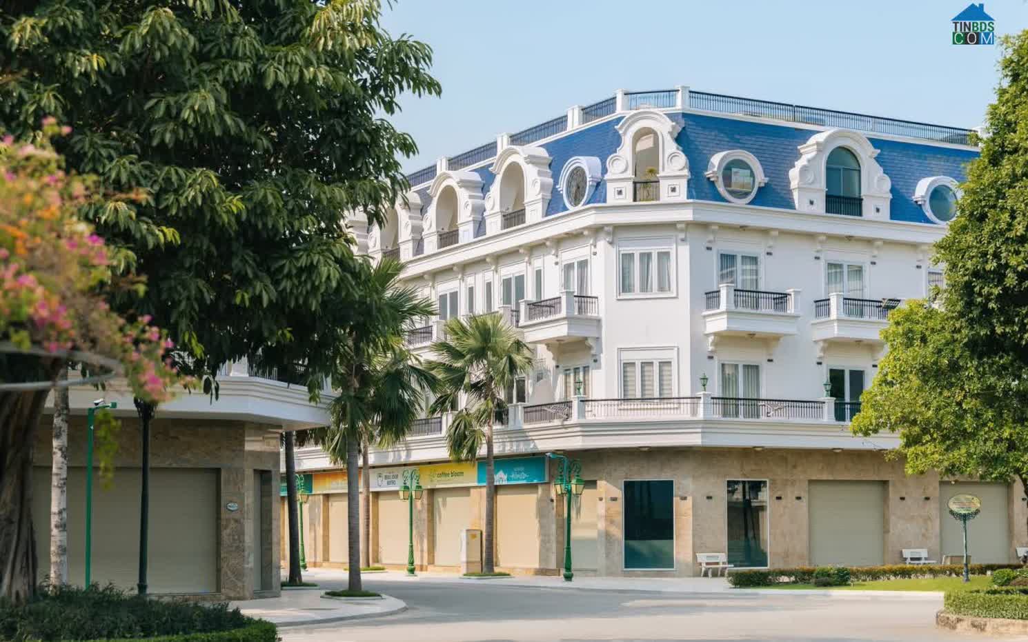 Ảnh The Royal - Five Star Eco City 3