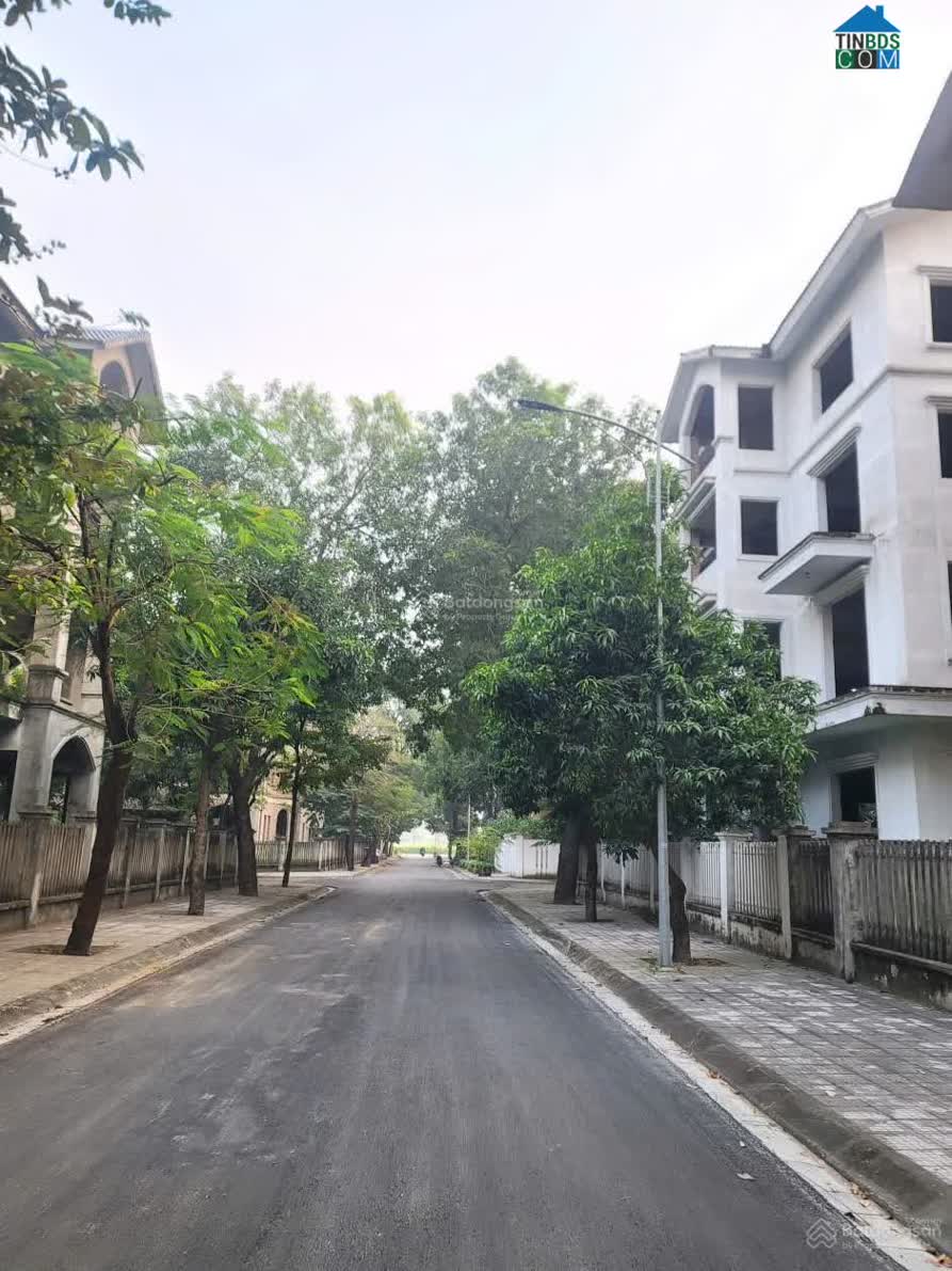 Ảnh Biệt thự Phương Viên 3