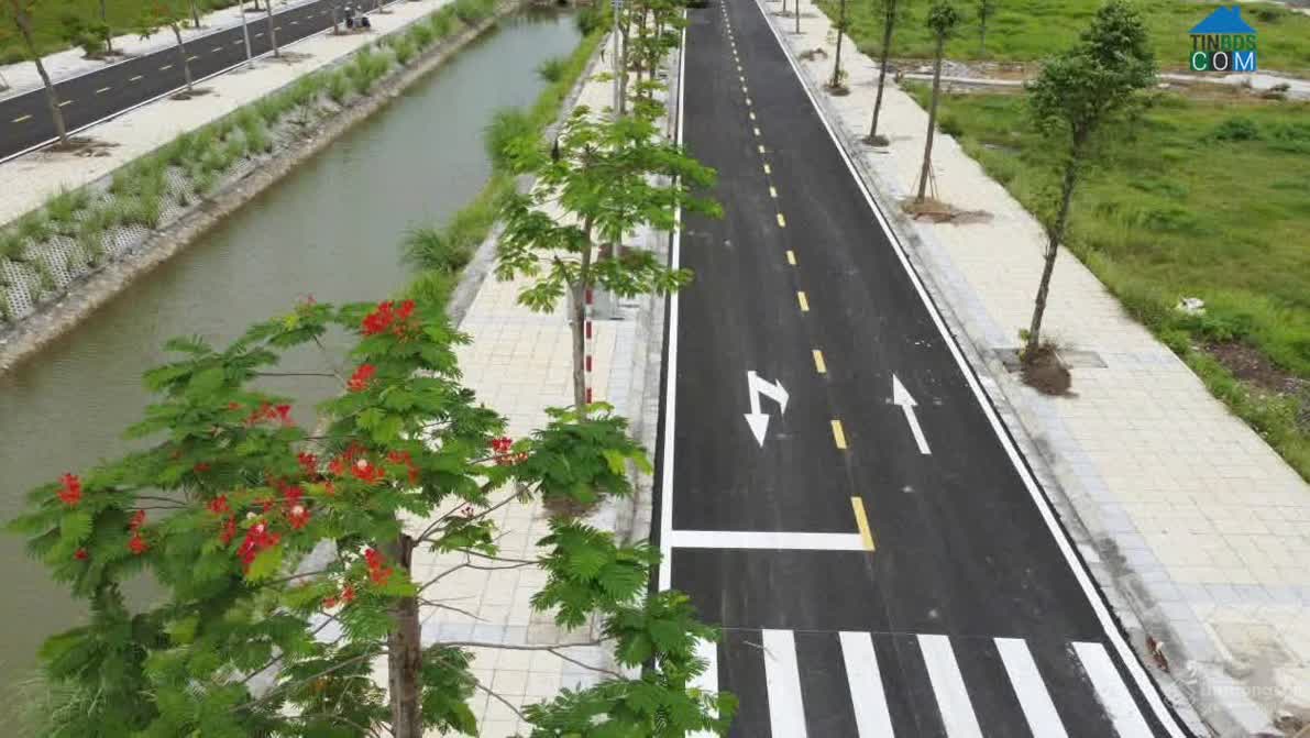 Ảnh dự án TEELhomes Tràng An 3
