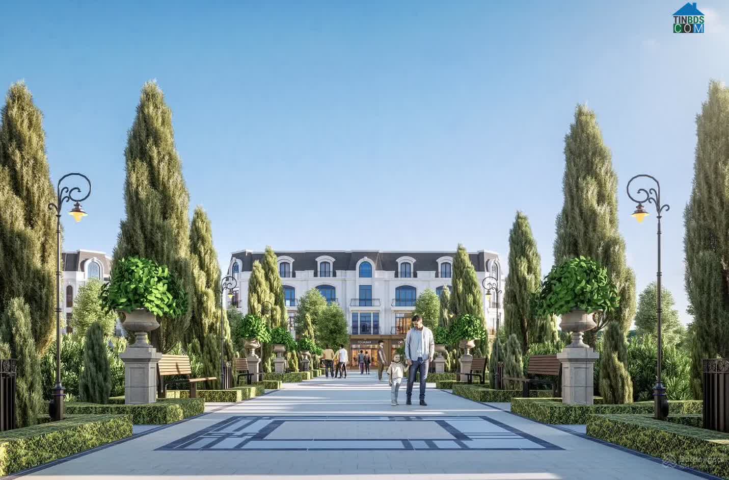 Ảnh Alluvia City 32
