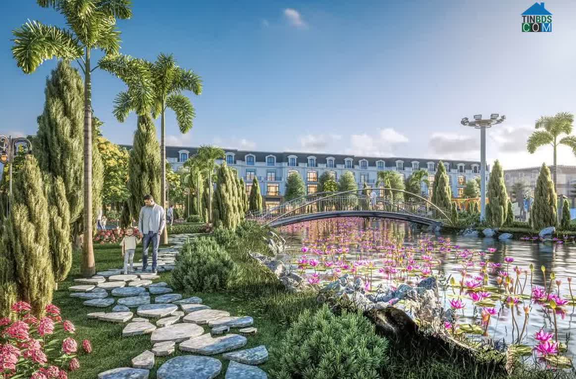 Ảnh Alluvia City 33