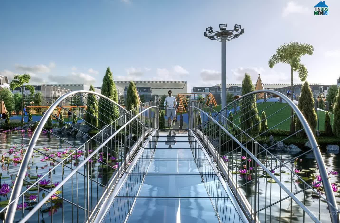 Ảnh Alluvia City 34