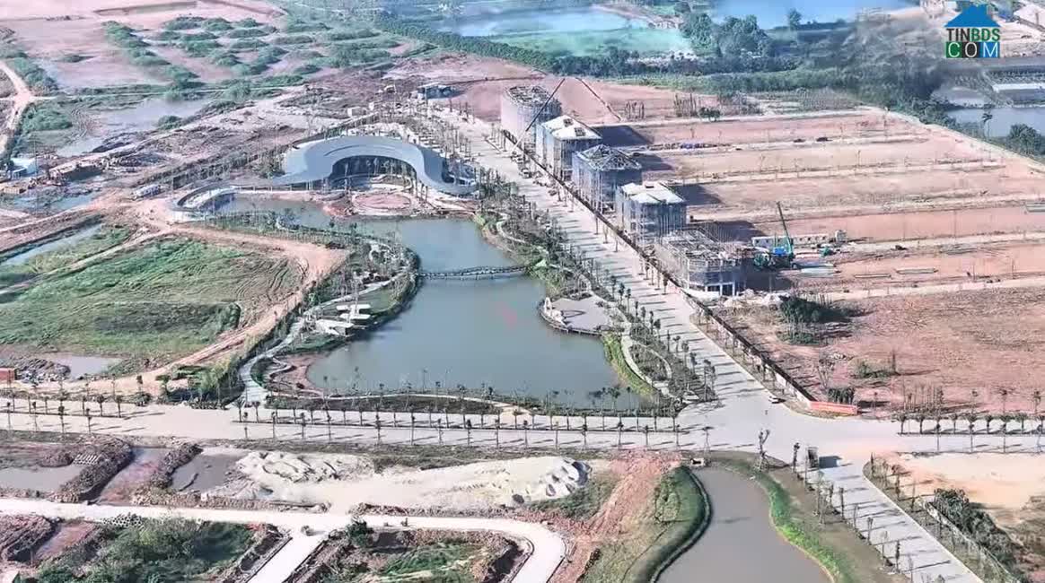 Ảnh Alluvia City 35