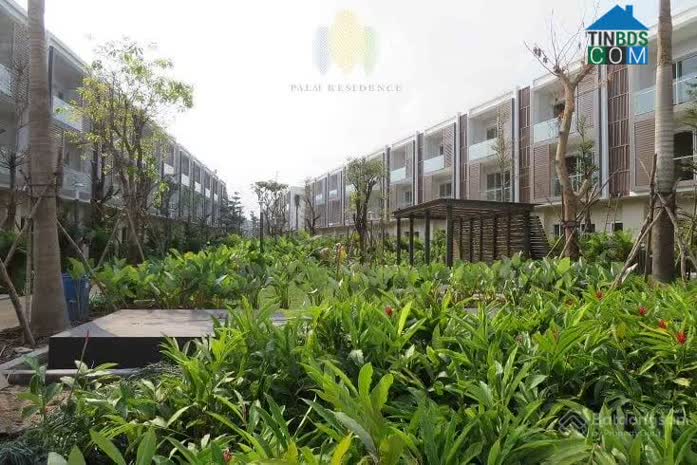 Ảnh Palm Residence 4