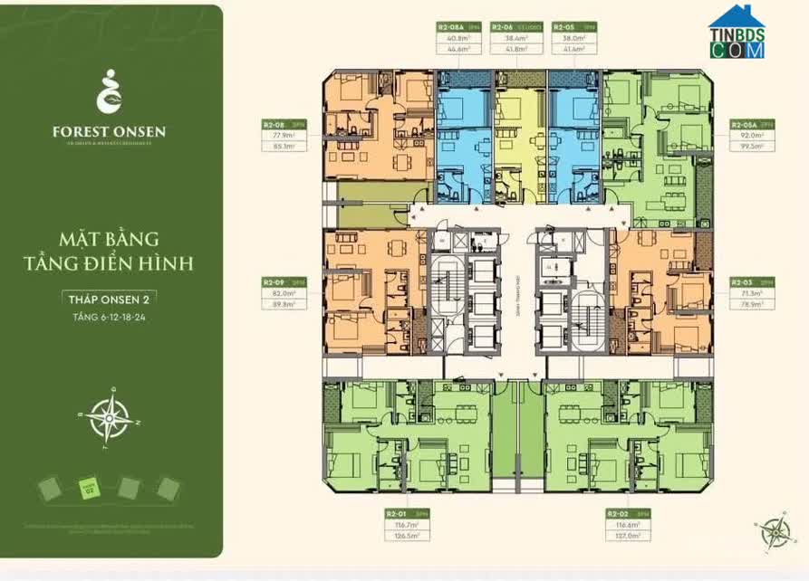 Ảnh Forest Onsen 4