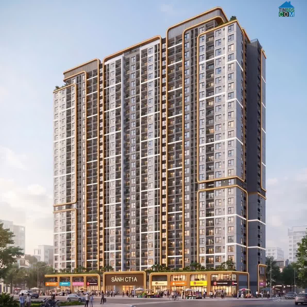 Ảnh Marquee Homes 4
