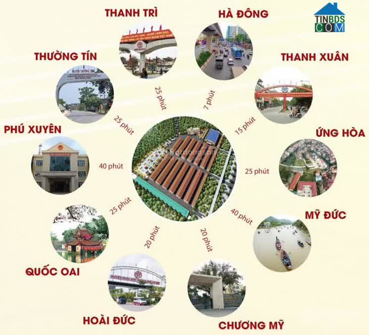 Ảnh Chợ Đầu Mối Nam Hà Nội 4