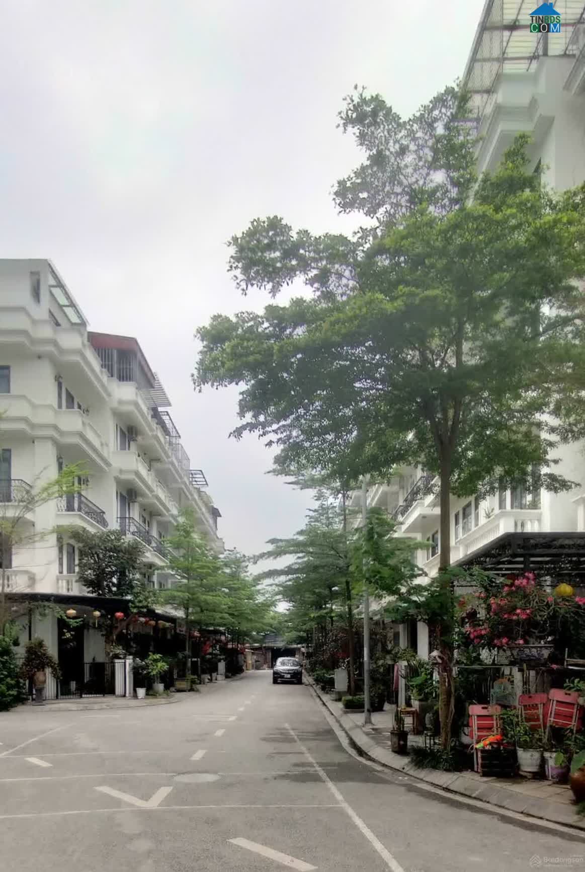 Ảnh Vinadic Phú Diễn 4