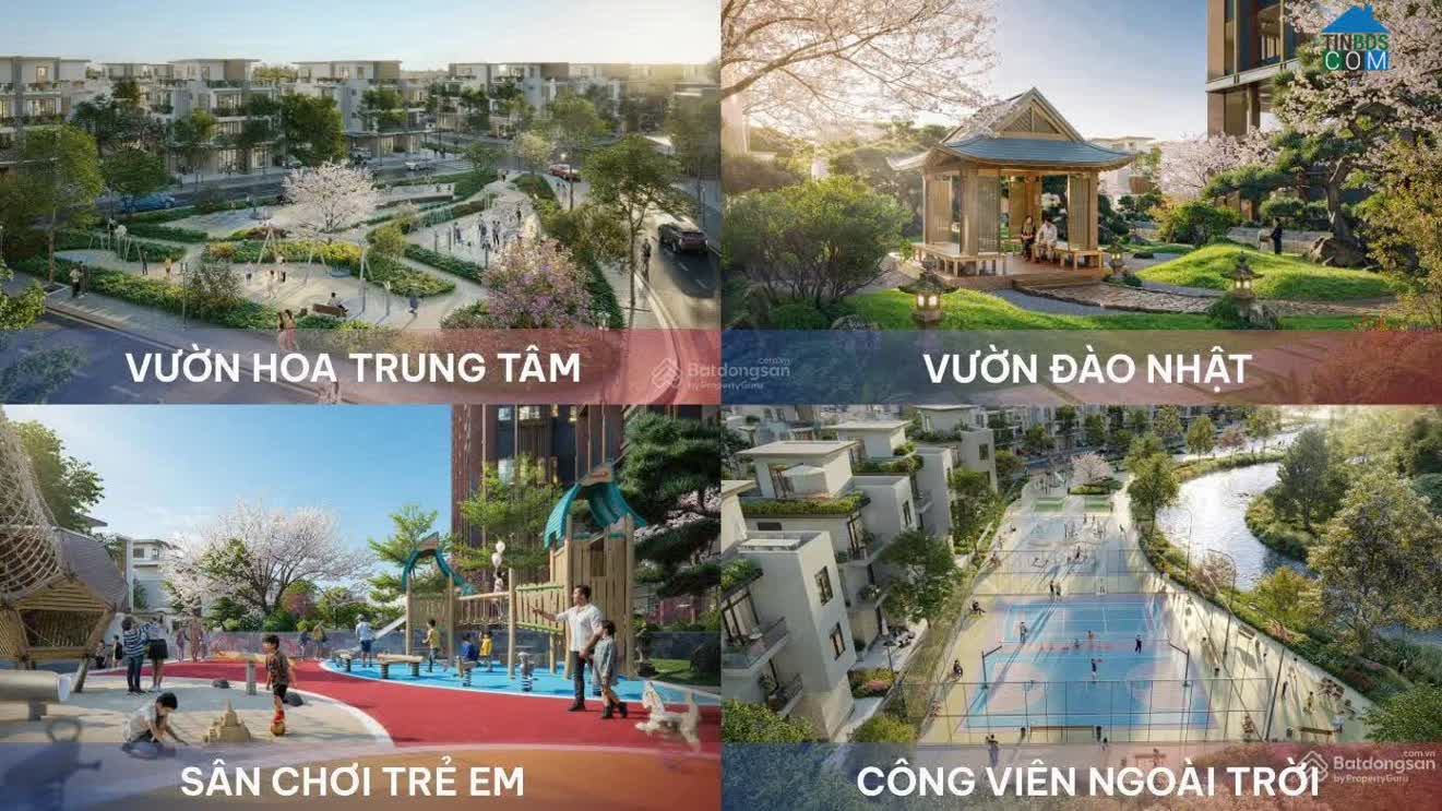 Ảnh Legacy Hinoiri 4