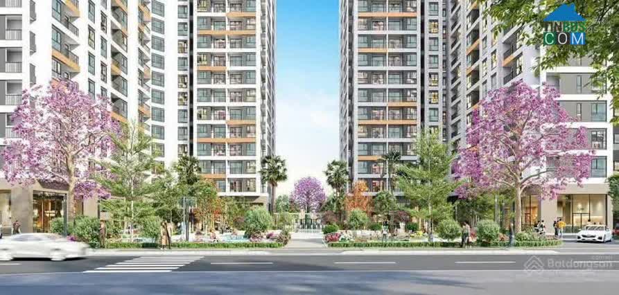 Ảnh Green City 4