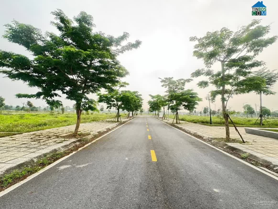 Ảnh dự án TEELhomes Tràng An 4