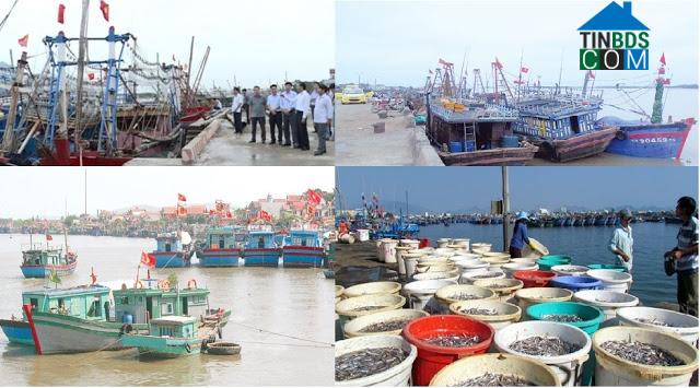 Ảnh dự án Cụm công nghiệp cảng cá Hòa Lộc