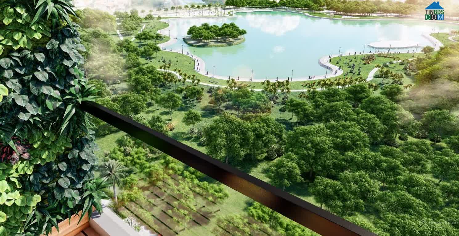 Ảnh Động Lực Tower 5