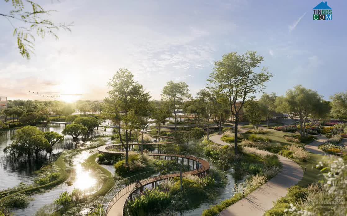 Ảnh Coastal Quảng Ngãi 5