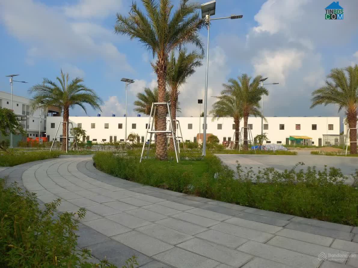 Ảnh Everich Central 5