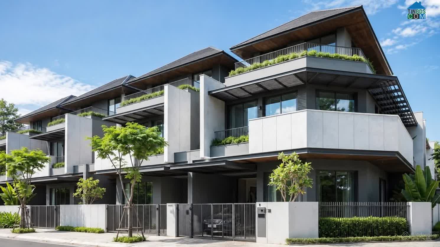 Ảnh Emerald Bao Vinh 5
