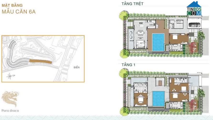 Ảnh dự án Para Draco 5
