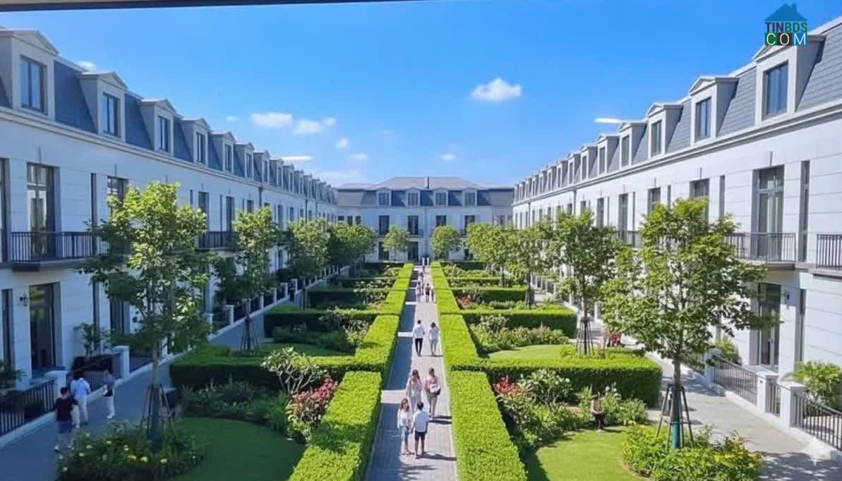 Ảnh Emerald Symphony 5