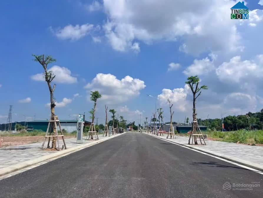 Ảnh Bách Quang Central 5