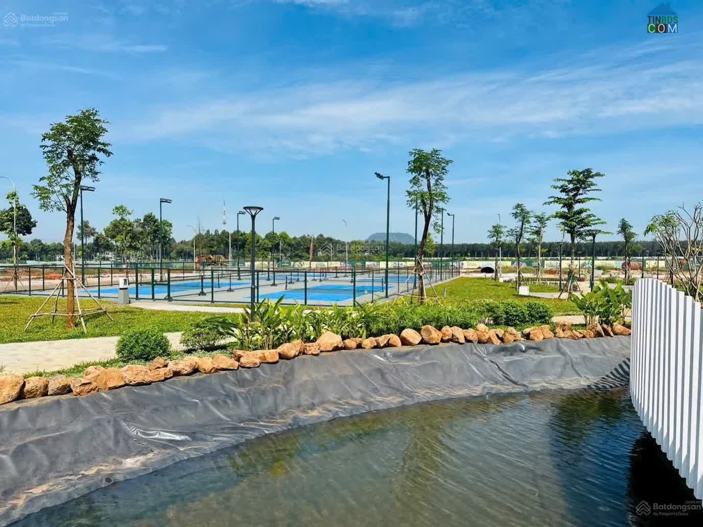 Ảnh The Link City 6