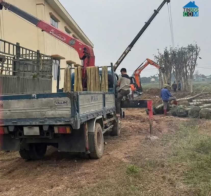 Ảnh Thường Thắng Central Park 6