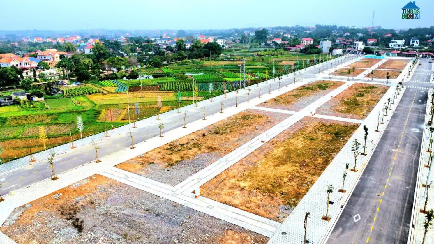 Ảnh Phương Sơn Diamond 6