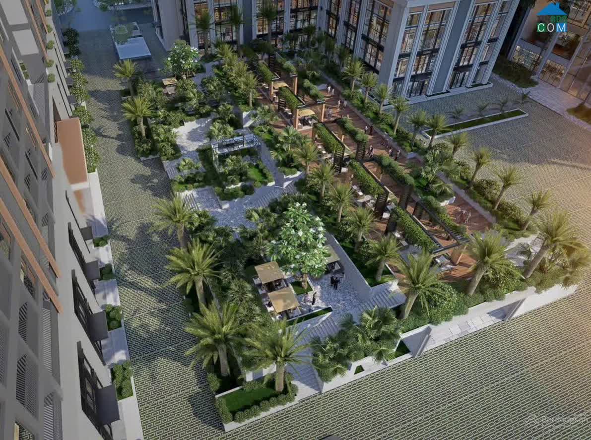 Ảnh The Flame Vine 6