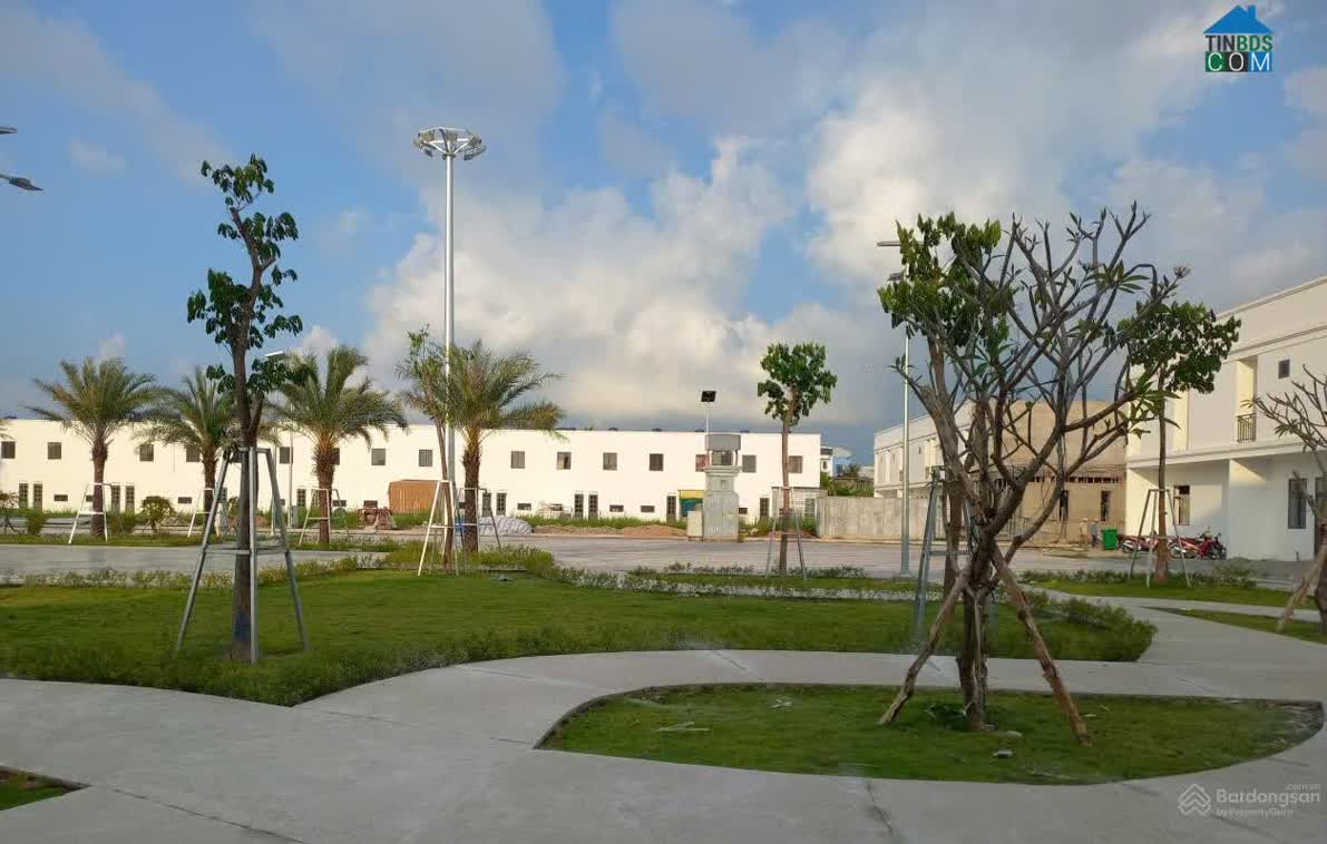 Ảnh Everich Central 6