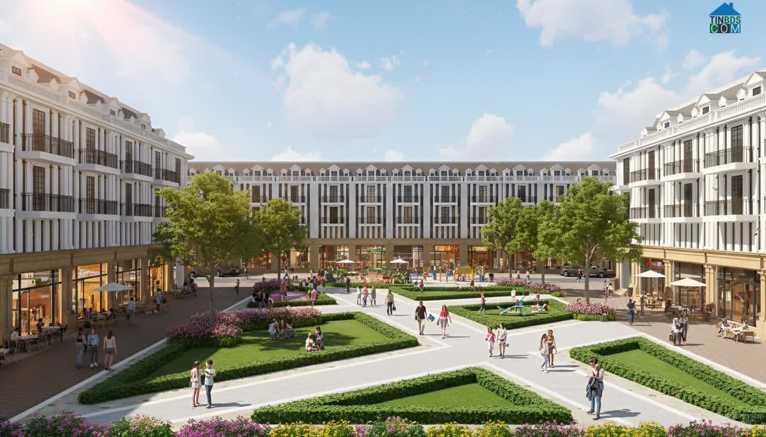 Ảnh Hồng Quang Central 6