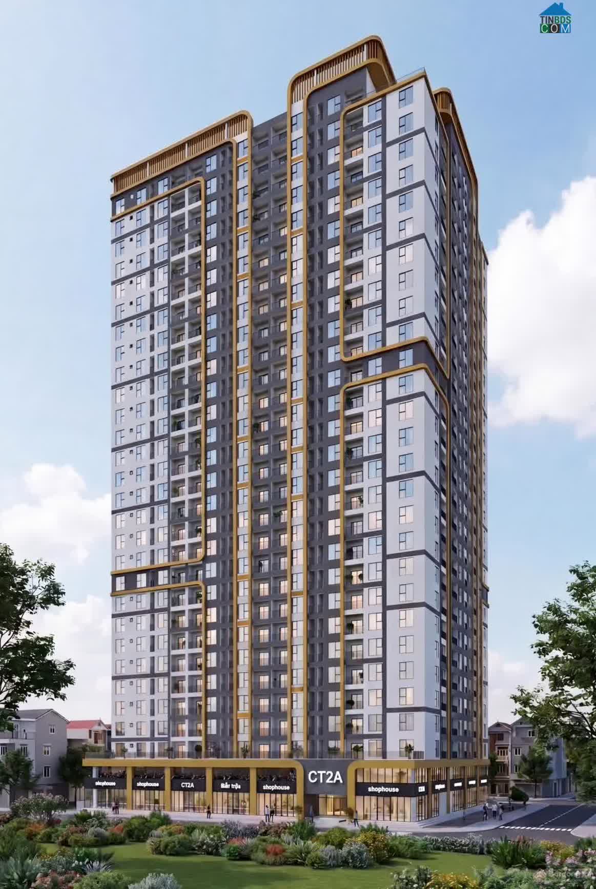 Ảnh Marquee Homes 6