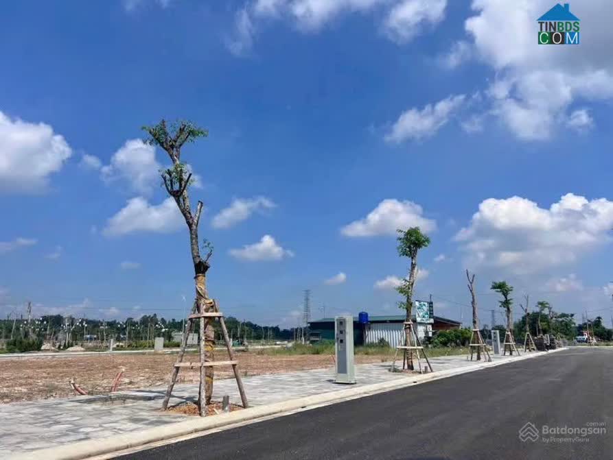 Ảnh Bách Quang Central 6