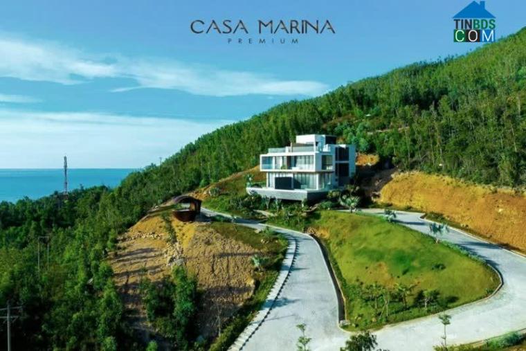 Ảnh Casa Marina Premium 7