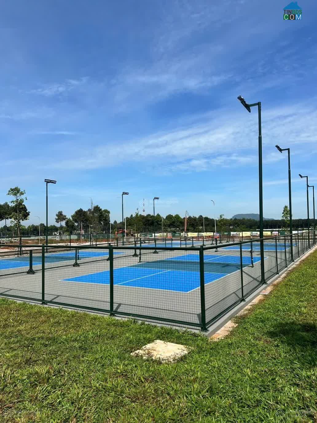 Ảnh The Link City 7