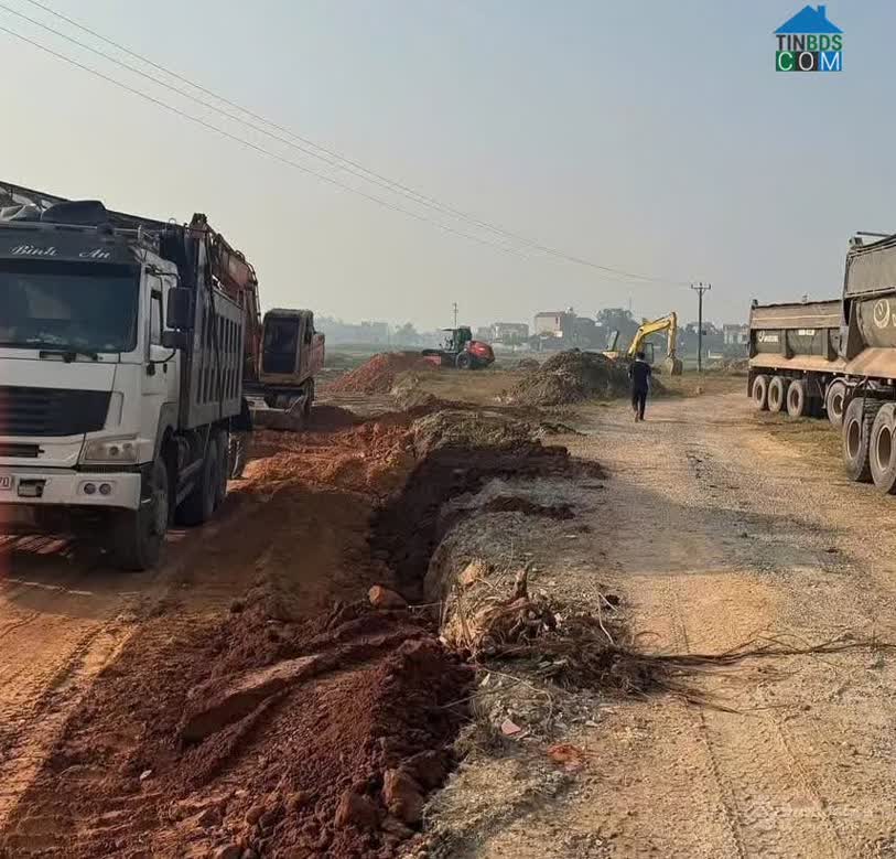 Ảnh Thường Thắng Central Park 7