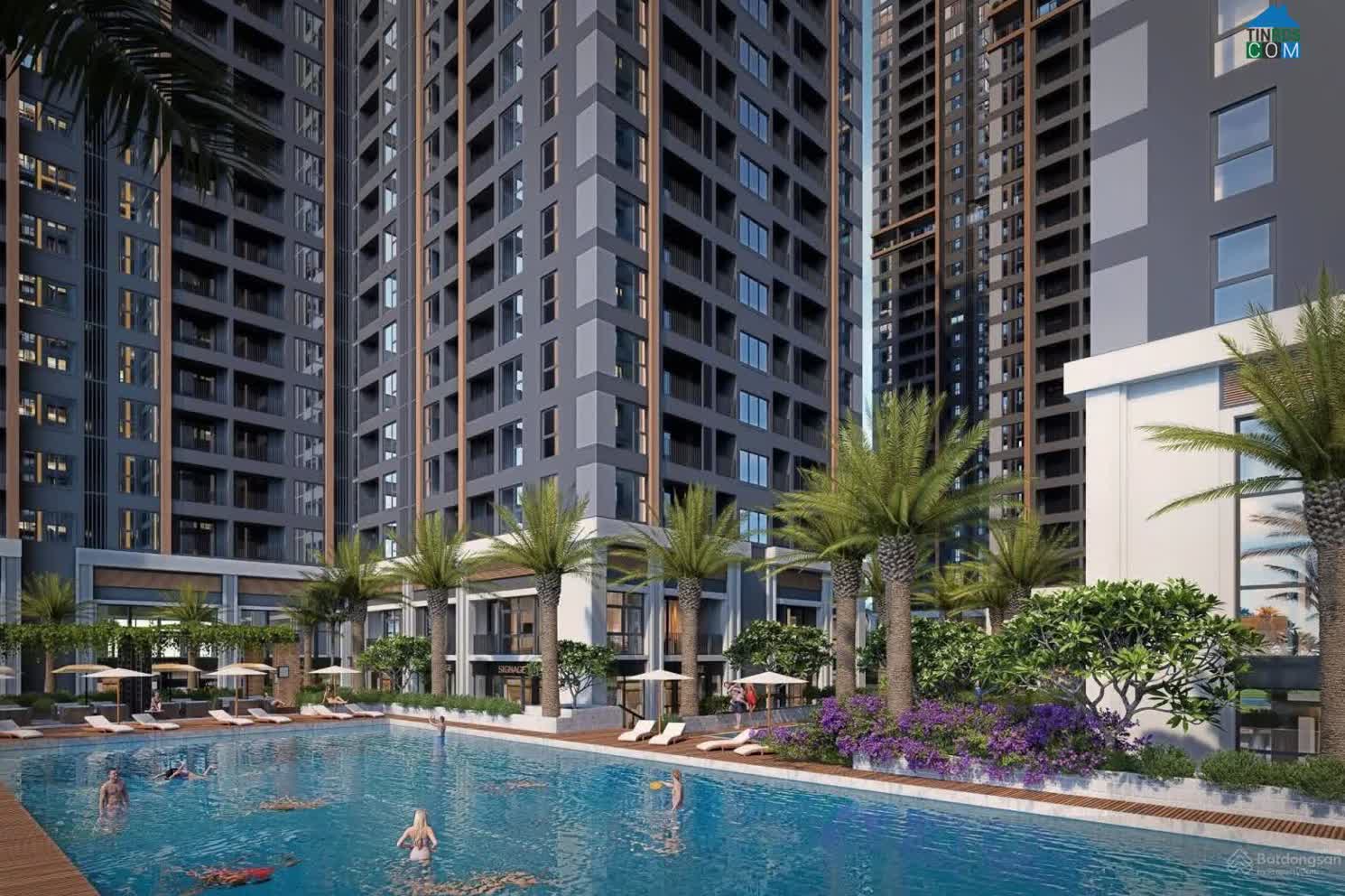 Ảnh The Flame Vine 7