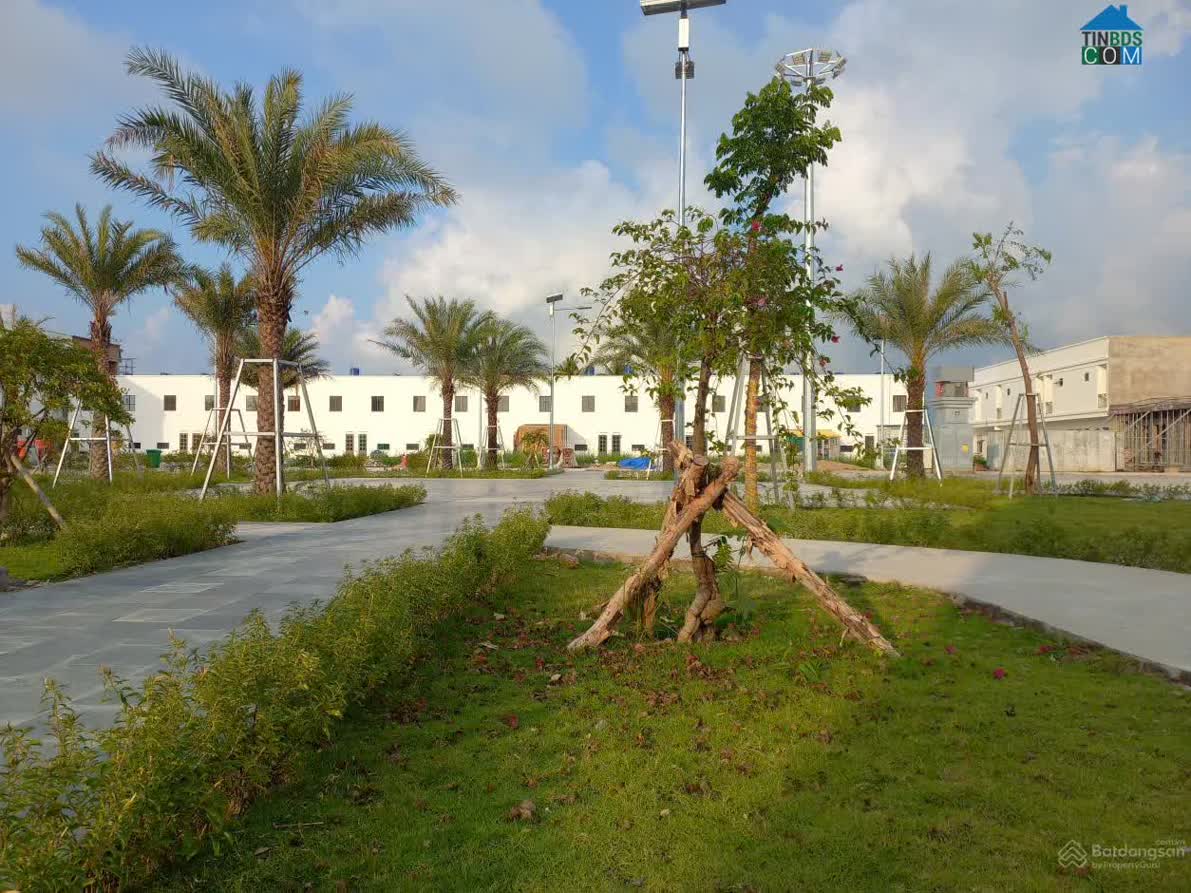 Ảnh Everich Central 7