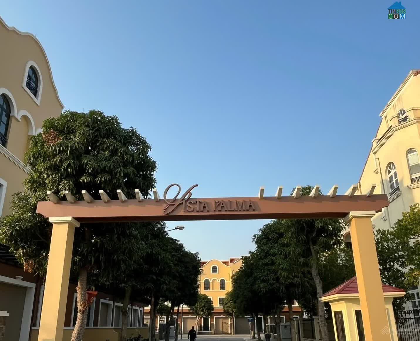 Ảnh Vista Palma 7