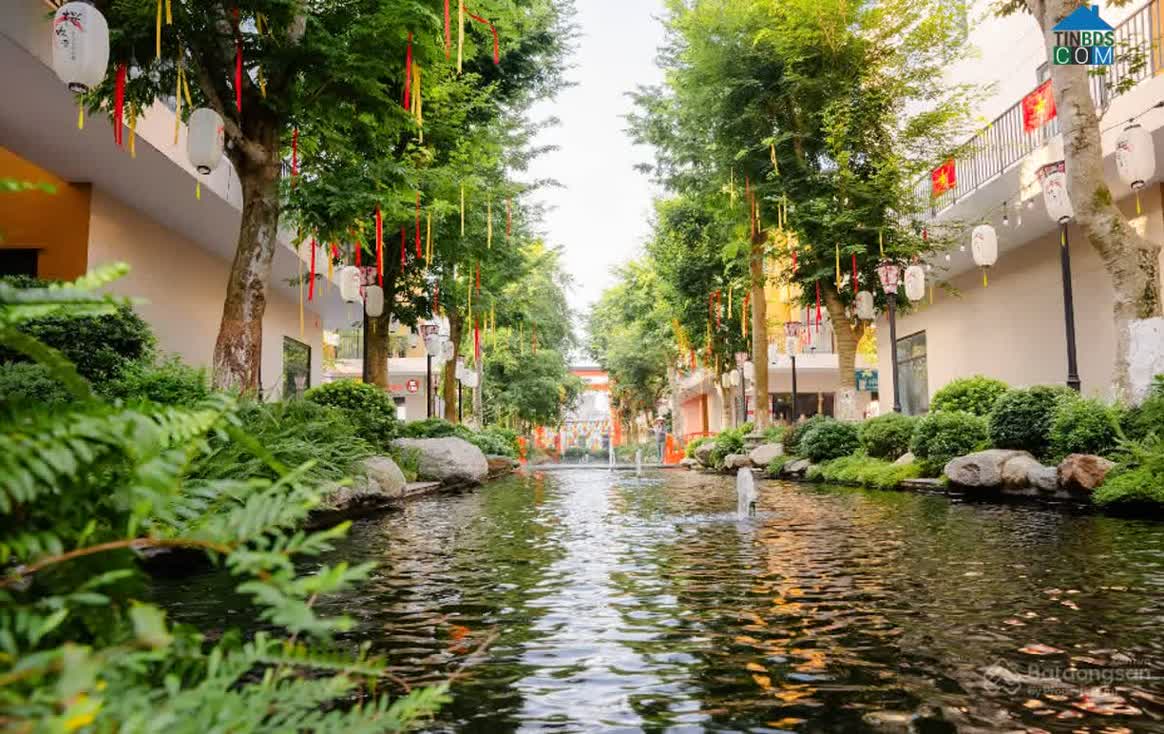 Ảnh Lynn Times Onsen Sky Garden 7