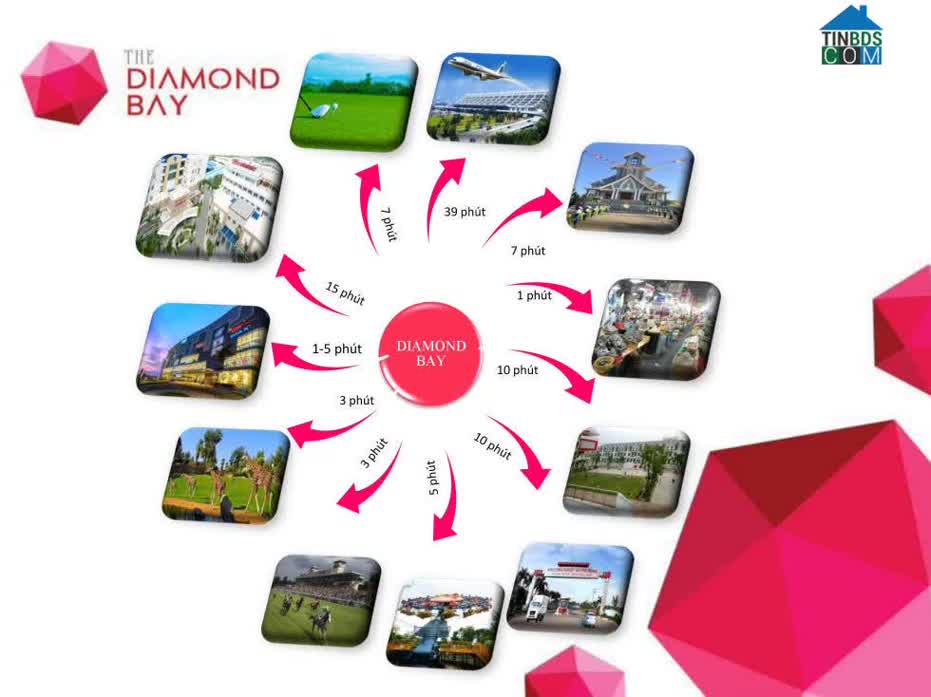 Ảnh The Diamond Bay 8