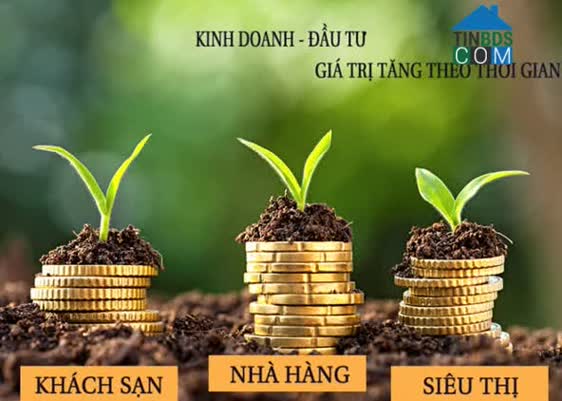 Ảnh dự án Khu đô thị Dương Ngọc 8