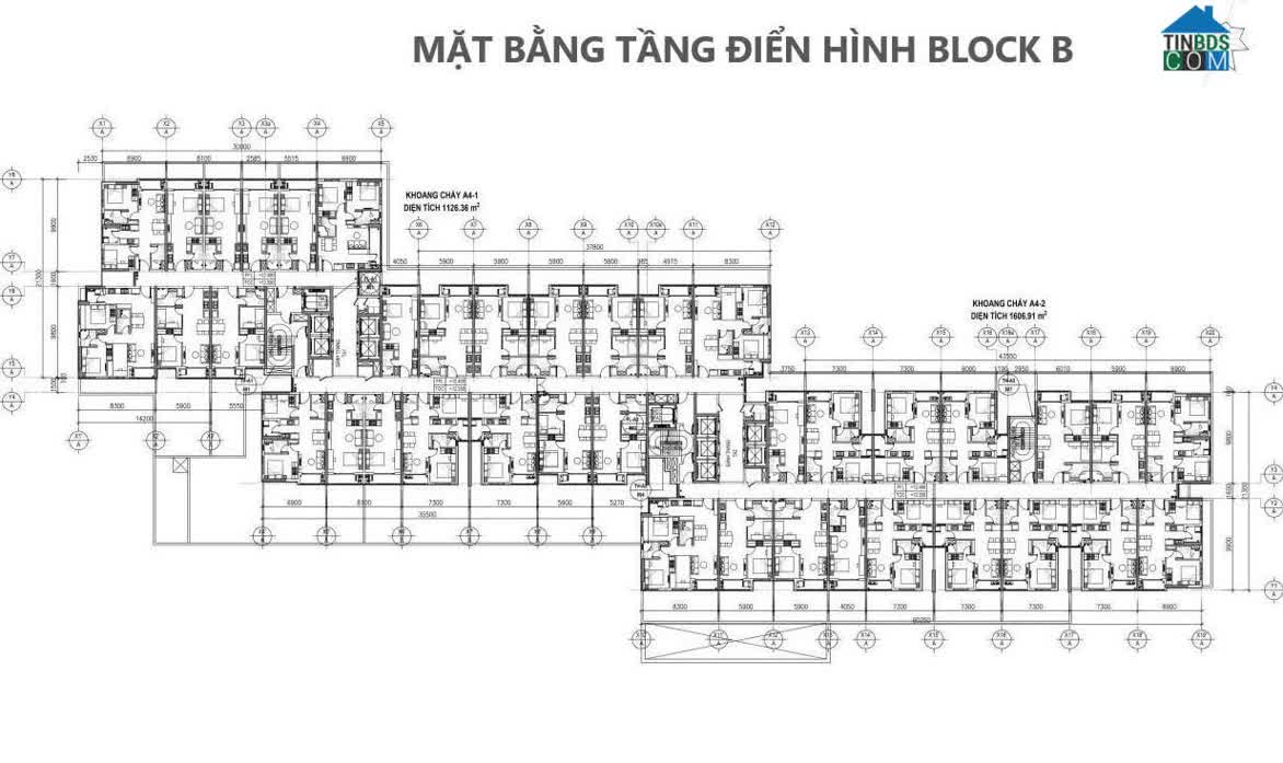 Ảnh TT AVIO 8