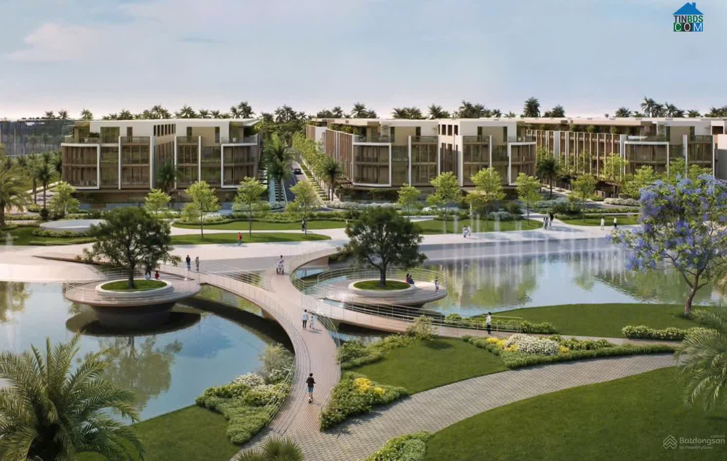 Ảnh Sola - Đảo Ánh Dương 8