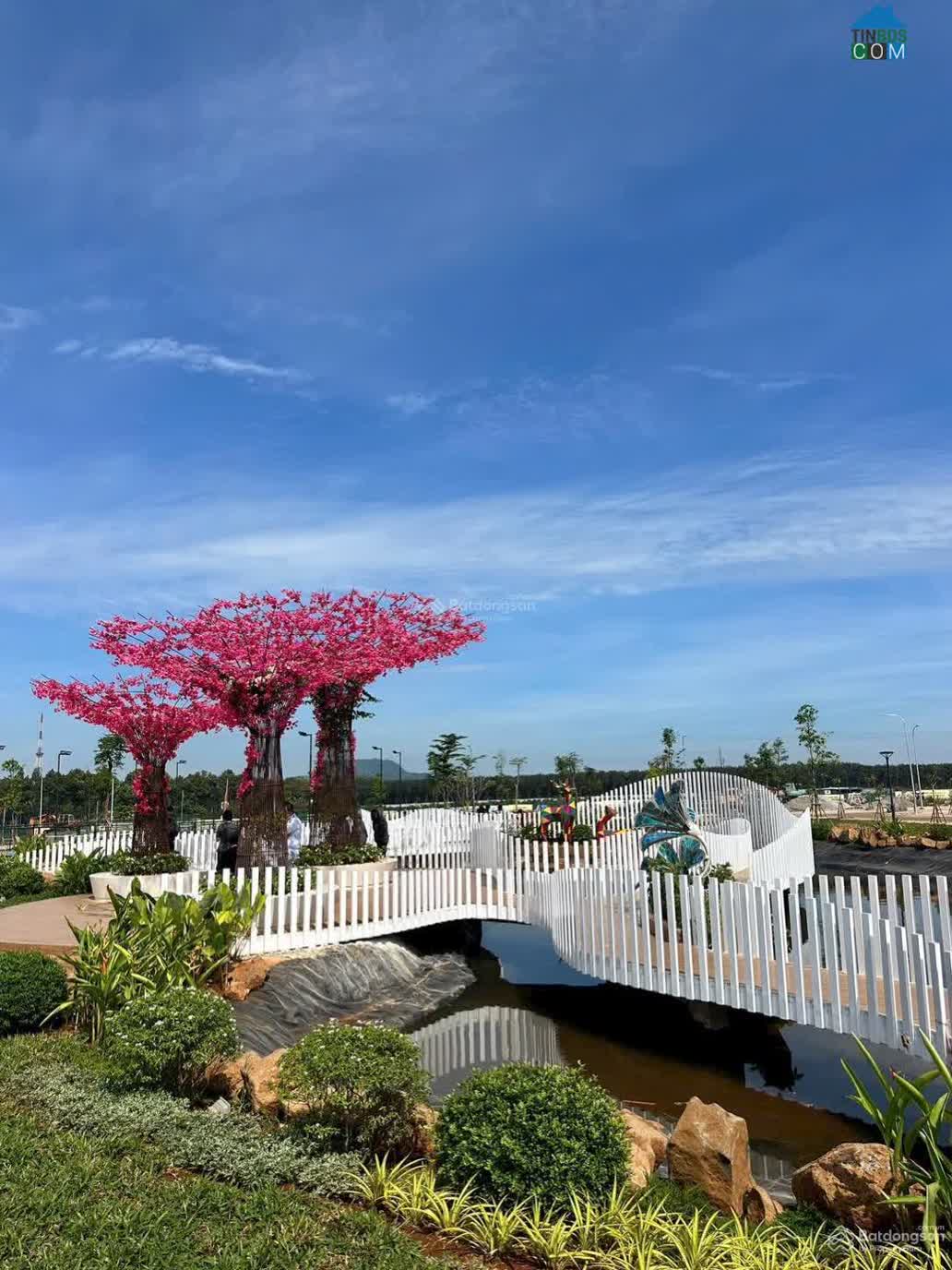 Ảnh The Link City 8