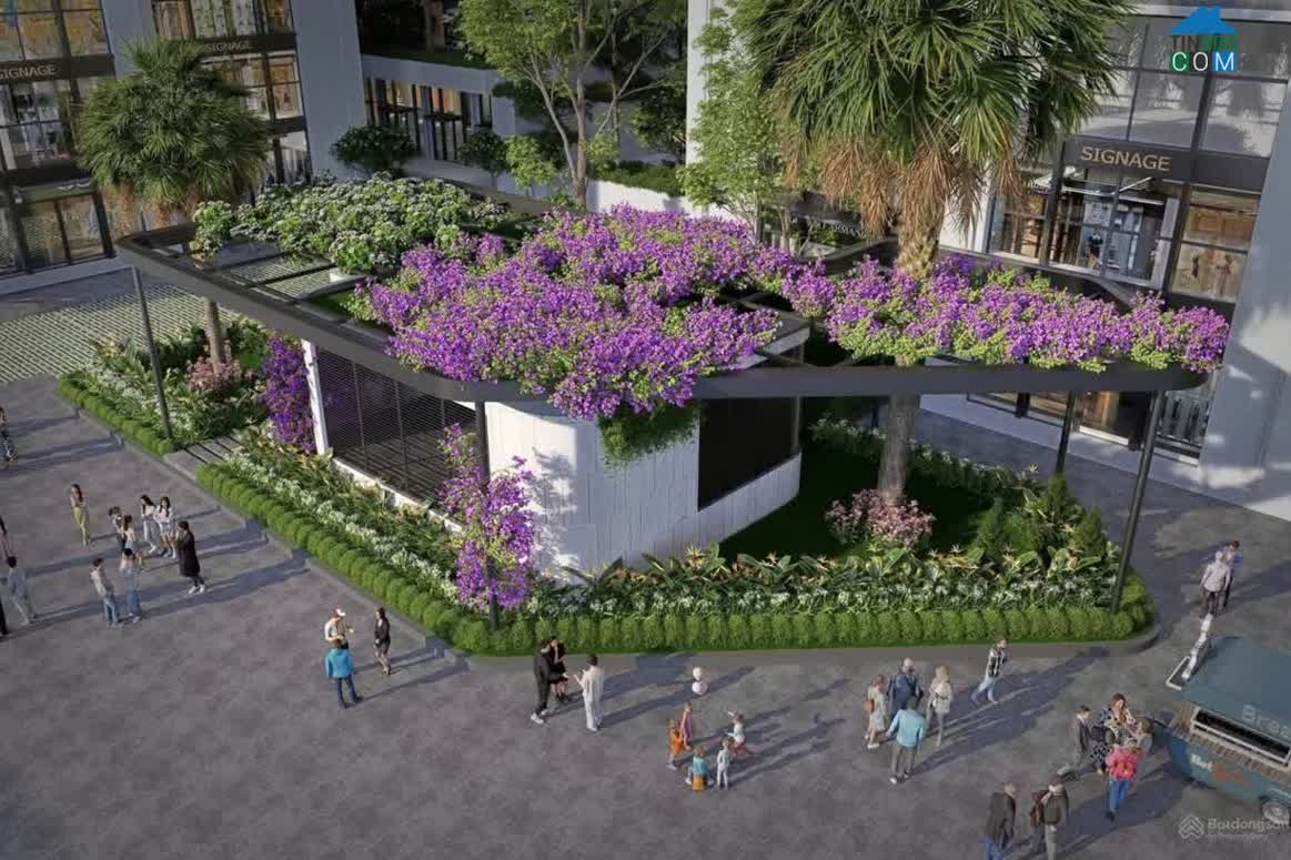 Ảnh The Flame Vine 8