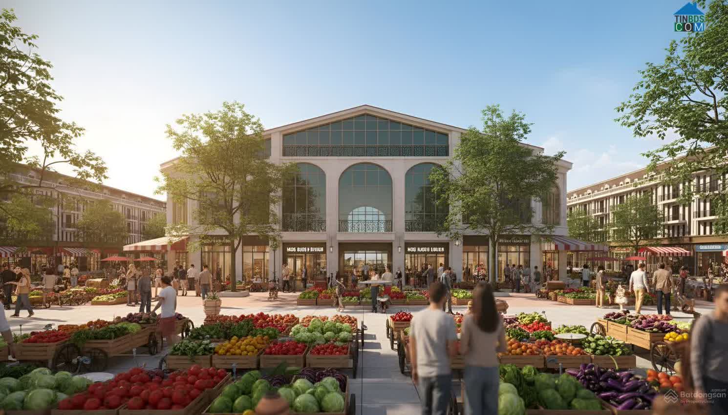 Ảnh Hồng Quang Central 8