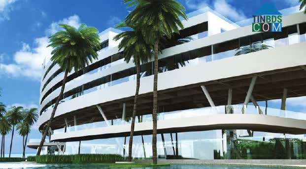 Ảnh dự án Oceanami Luxury Homes and Resort 9