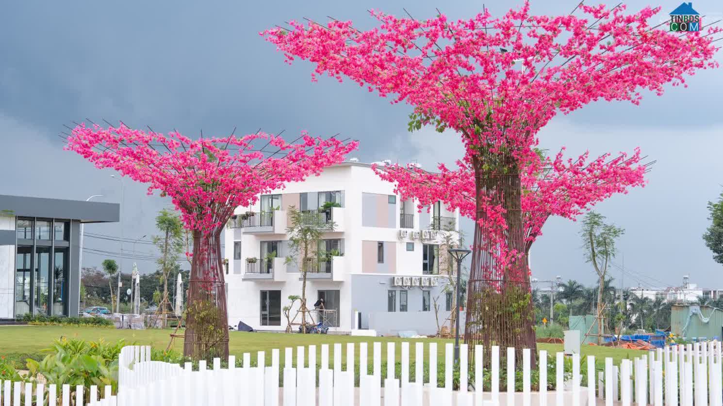 Ảnh The Link City 9