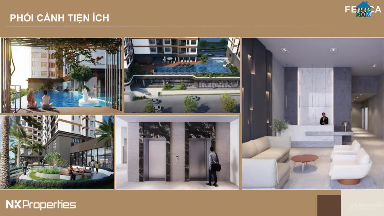 Ảnh Fenica 9